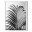 Palm Noir | Premium Framed Print