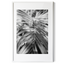 Tropical Tranquility | Premium Framed Print