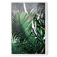 Tropical Storm | Premium Framed Print