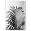 Palm Noir | Premium Framed Print