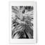 Tropical Tranquility | Premium Framed Print