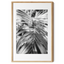 Tropical Tranquility | Premium Framed Print