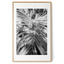 Tropical Tranquility | Premium Framed Print